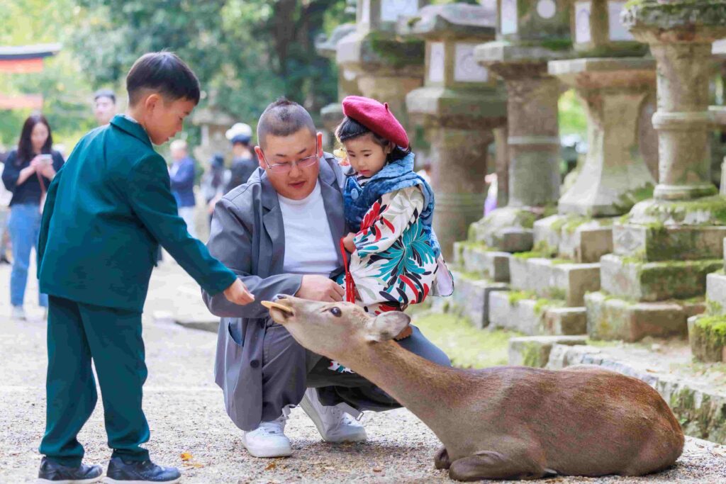 春日大社で、七五三参りをした3歳の女の子が、父親に抱っこされながら兄弟の大人子と鹿に餌をやる様子